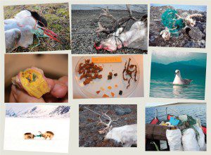 Clean up Svalbard garbage collage