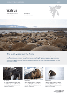 Wildlife Guideline