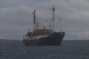 The AECO member operated ship MS Stockholm assisted in the search.