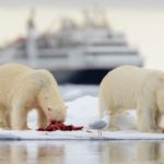 Photo: Silversea Cruises