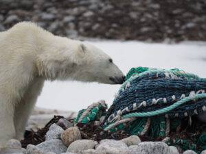 Photo: Zet Freiburghaus / Polar Quest